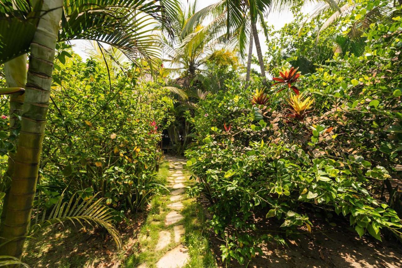فندق Masaya Collection Cayena Guachaca المظهر الخارجي الصورة